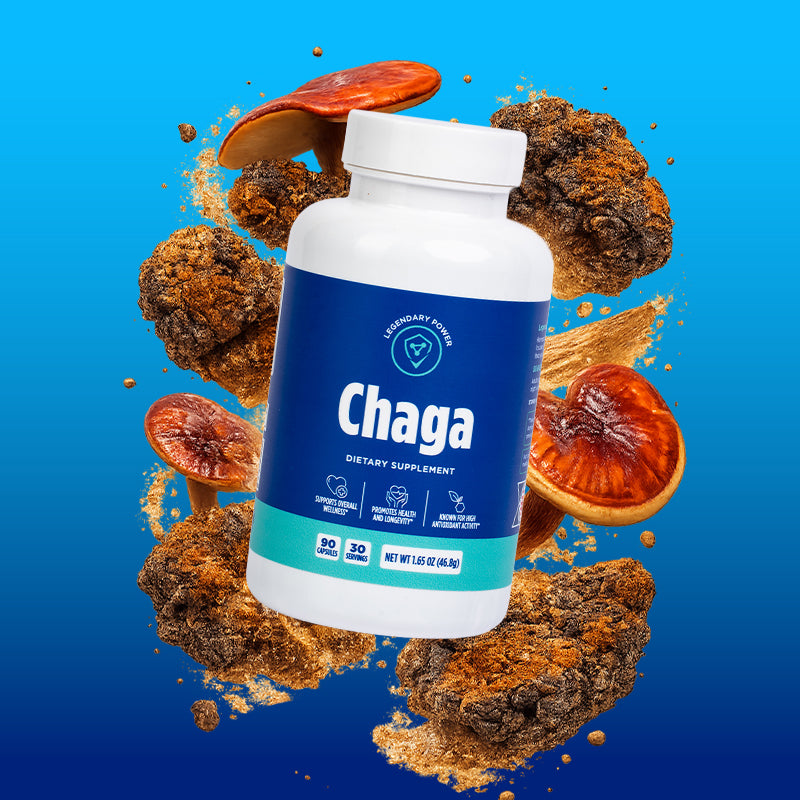 Chaga