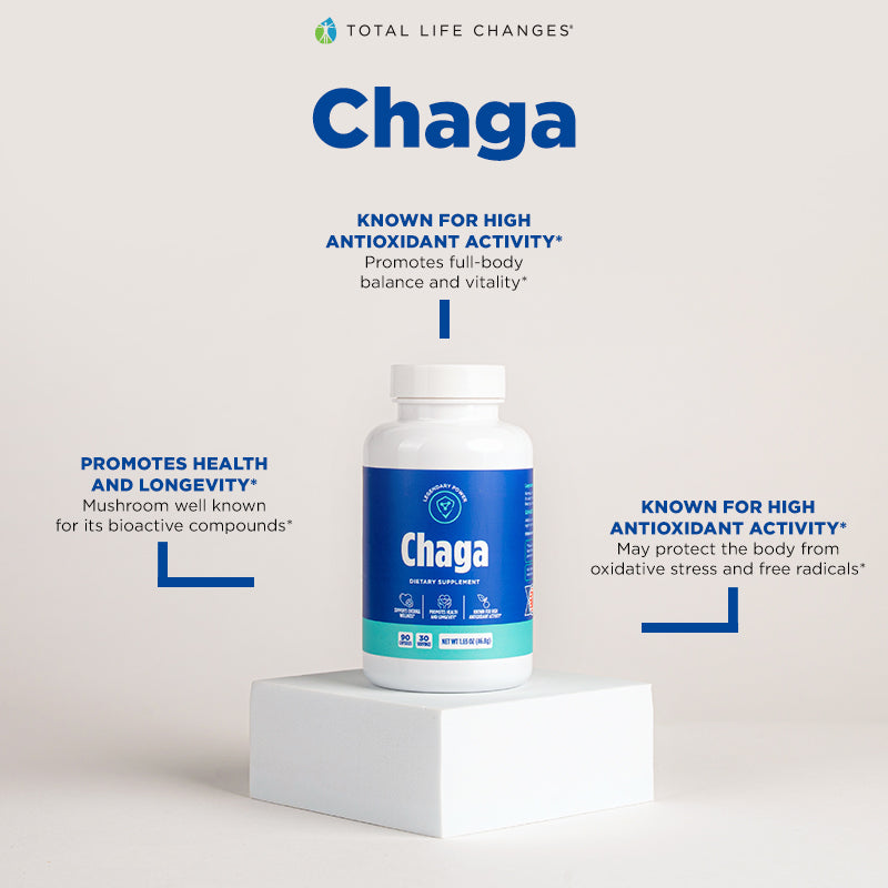 Chaga