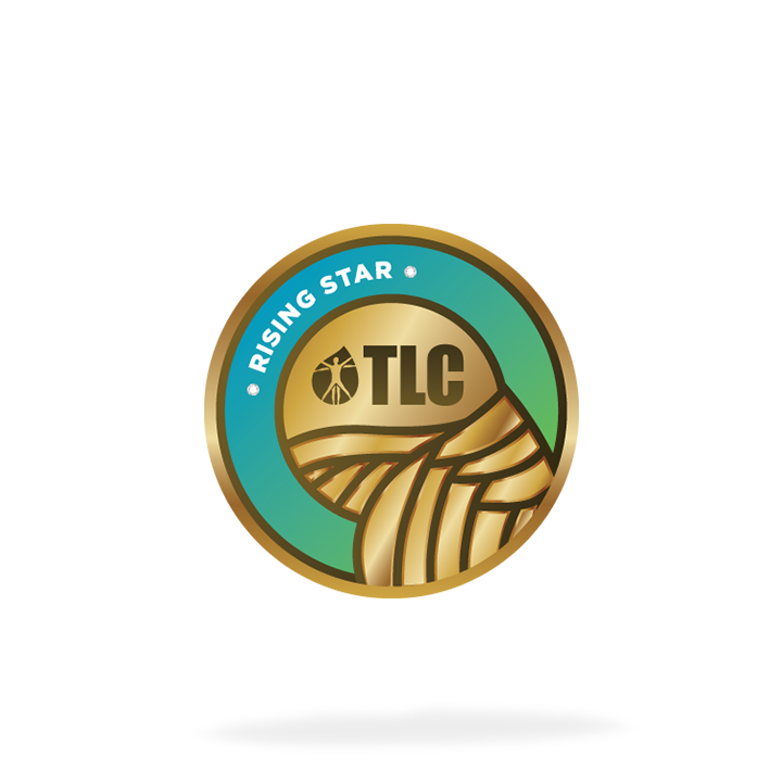 Rising Star Pin