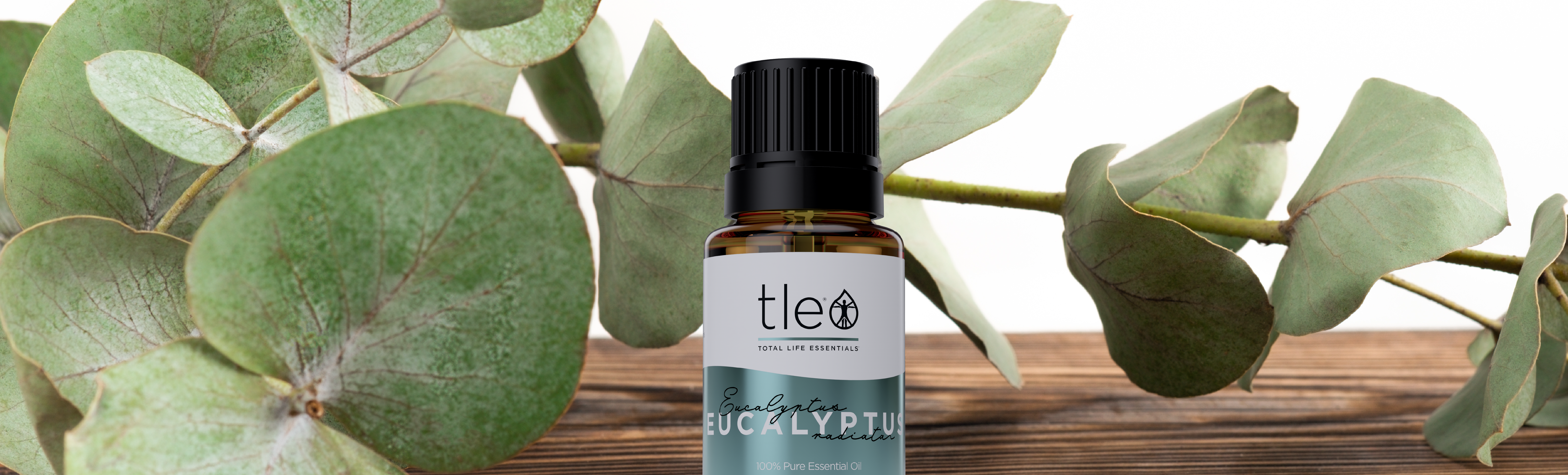 Eucalyptus: Ally of Achy Muscles, but Surprisingly Useful in So Many Other Ways
